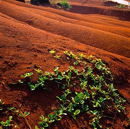 太空模拟生存游戏《罐舱逃生指南》现已发售 支持中文